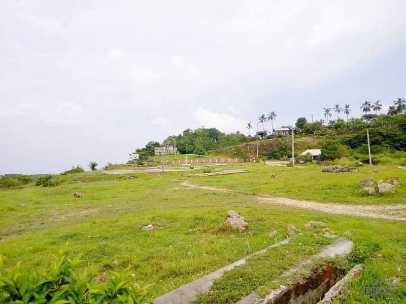 Residential Lot for sale in Talisay - image 3