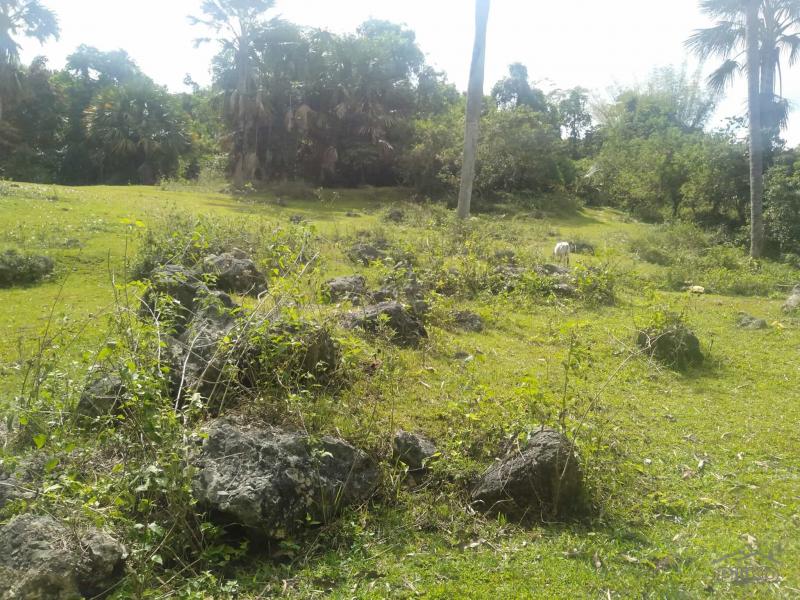 Picture of Residential Lot for sale in Cebu City