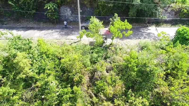 Residential Lot for sale in Cebu City in Cebu