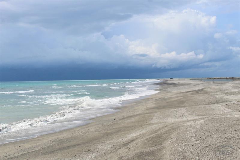 Pictures of Commercial Lot for sale in San Narciso