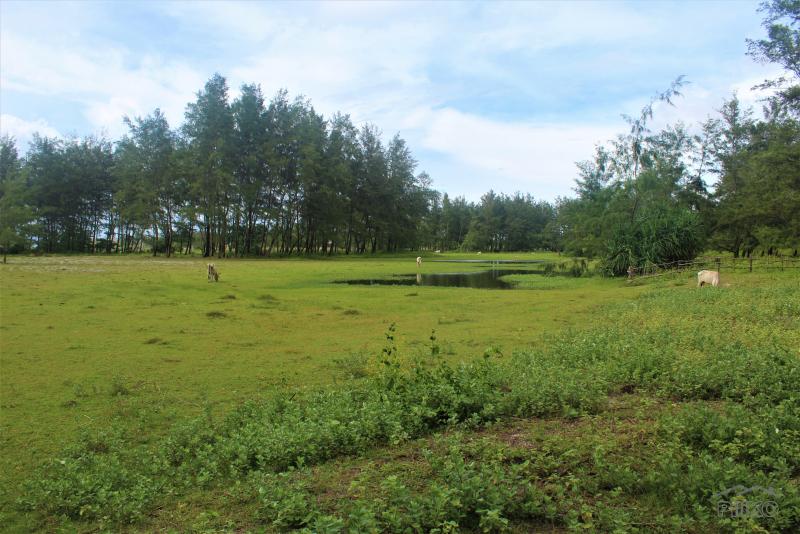 Commercial Lot for sale in San Narciso in Philippines