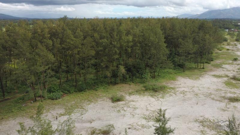 Commercial Lot for sale in San Narciso - image 9