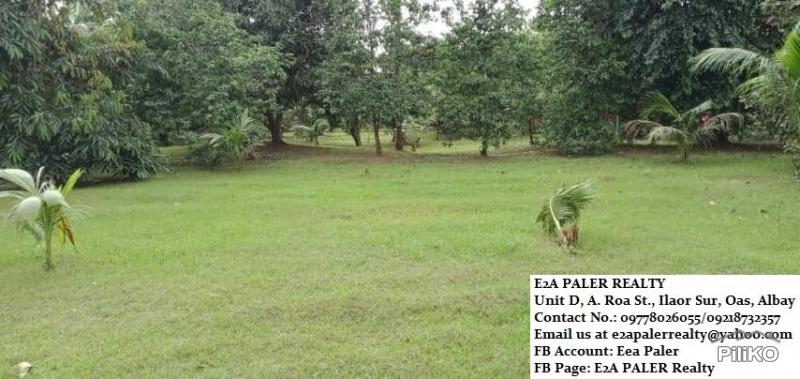 Picture of Other property for sale in Majayjay