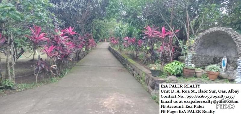 Other property for sale in Majayjay