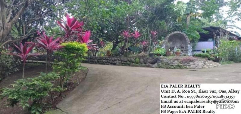 Picture of Other property for sale in Majayjay in Laguna