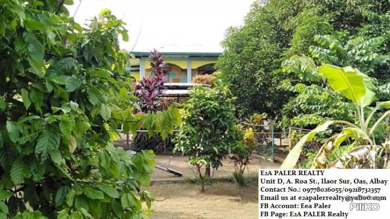 Picture of Other property for sale in Majayjay in Philippines