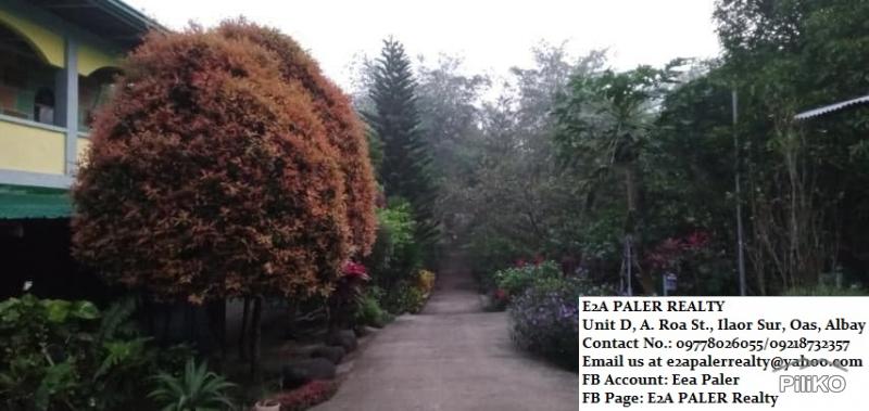 Other property for sale in Majayjay in Laguna - image