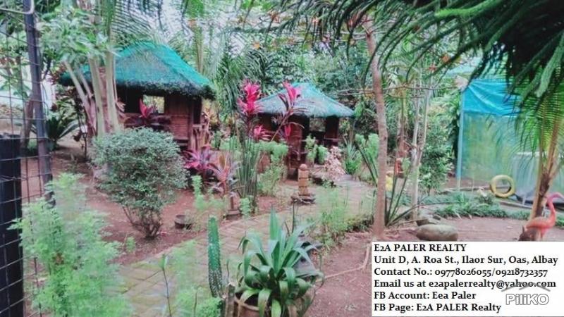 Other property for sale in Majayjay in Philippines - image