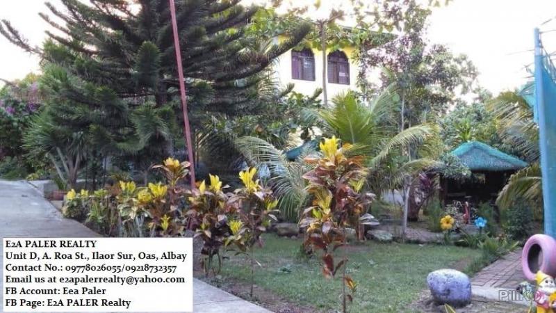 Other property for sale in Majayjay - image 9