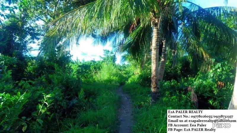 Other lots for sale in Juban in Sorsogon