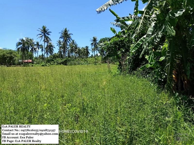Other lots for sale in Juban in Philippines