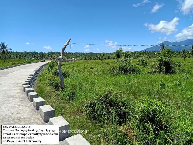 Picture of Other lots for sale in Juban in Sorsogon