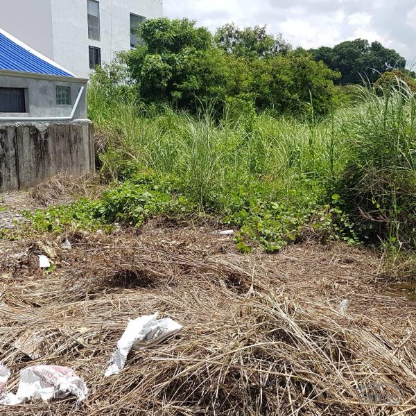 Residential Lot for sale in Olongapo - image 2