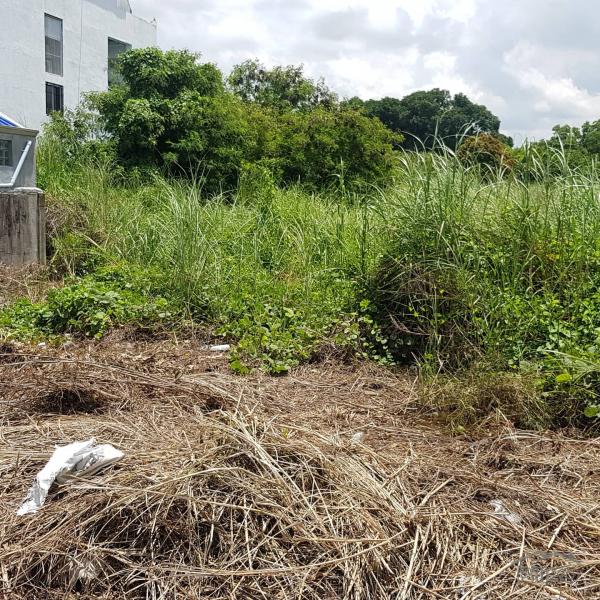 Residential Lot for sale in Olongapo - image 4