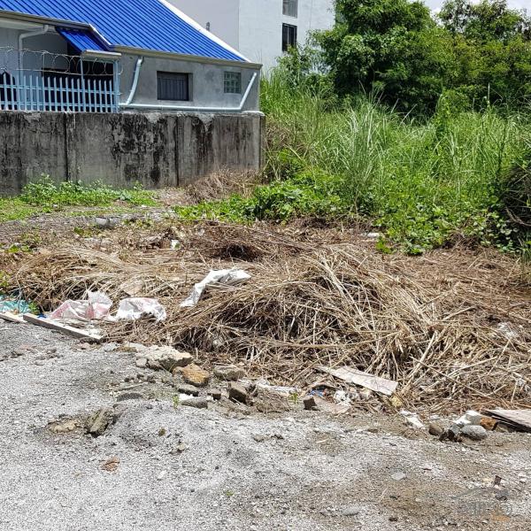 Residential Lot for sale in Olongapo - image 6