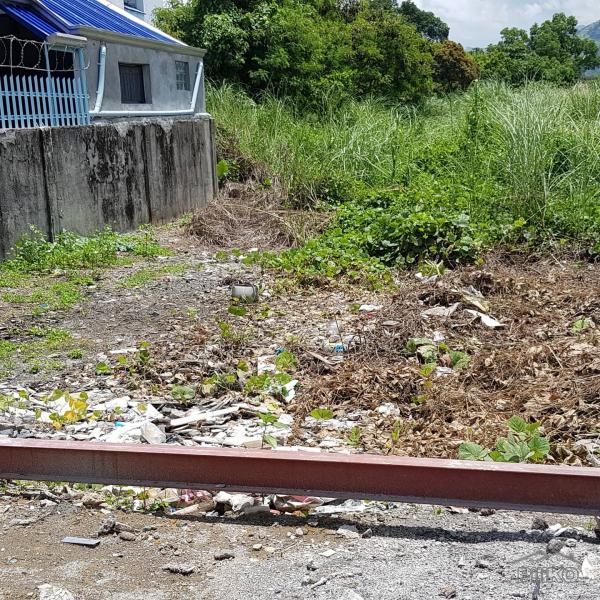 Residential Lot for sale in Olongapo in Zambales - image
