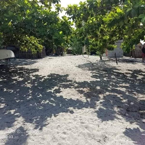 Commercial Lot for sale in Cabangan - image 2