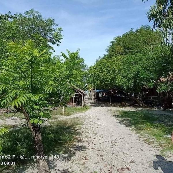 Commercial Lot for sale in Cabangan - image 4