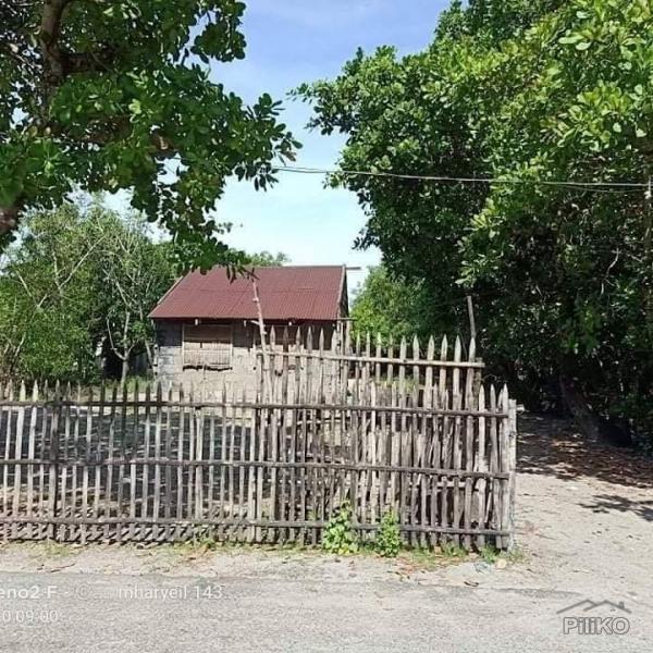 Commercial Lot for sale in Cabangan - image 5