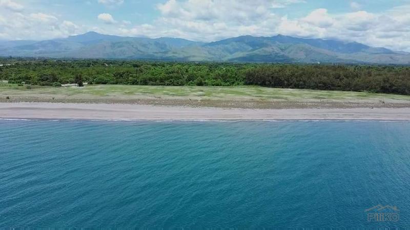 Lot for sale in Botolan - image 2