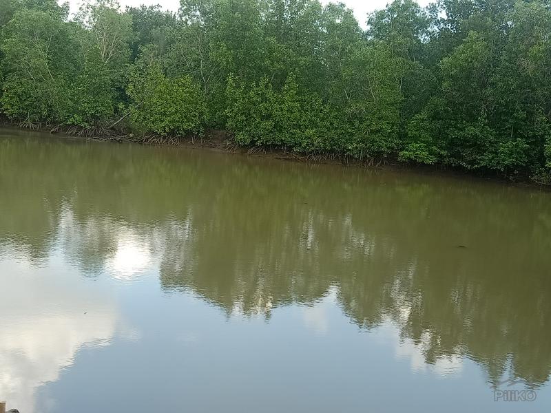 Other lots for sale in Botolan - image 12