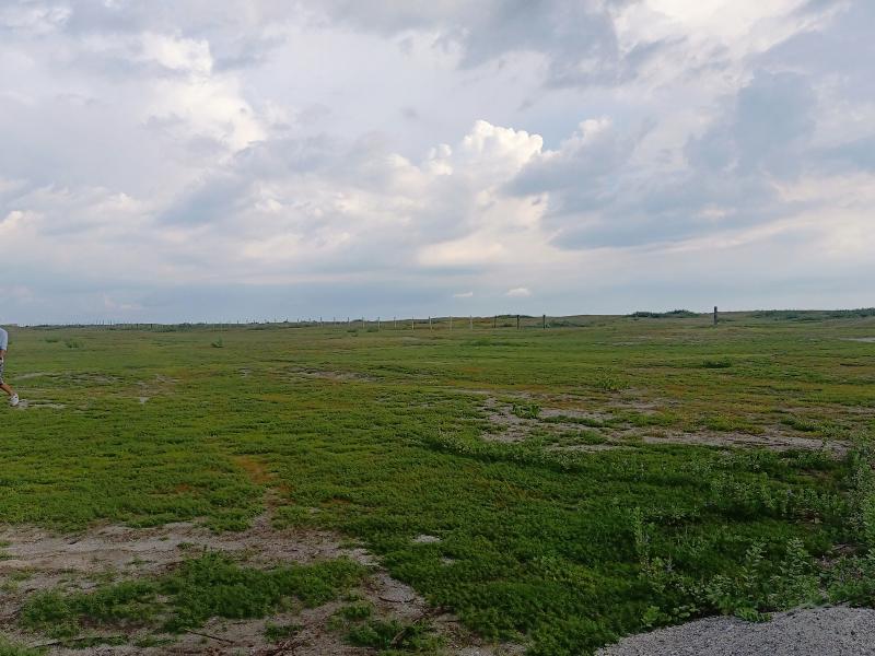 Other lots for sale in Botolan - image 3
