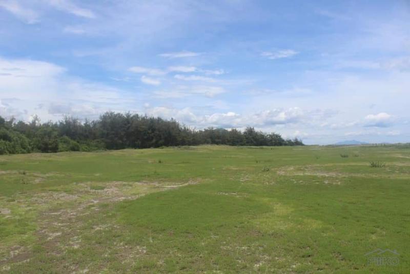 Pictures of Other lots for sale in Olongapo