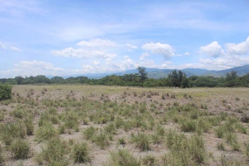 Other lots for sale in Olongapo - image 7