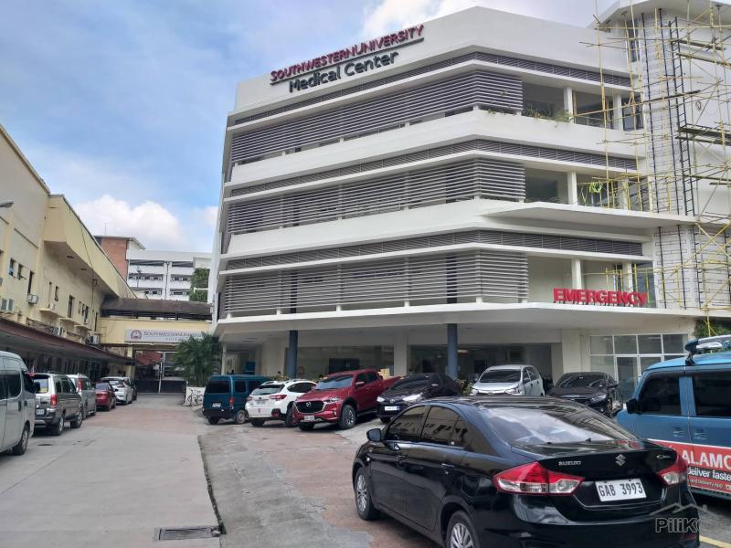 Other property for sale in Cebu City - image 3