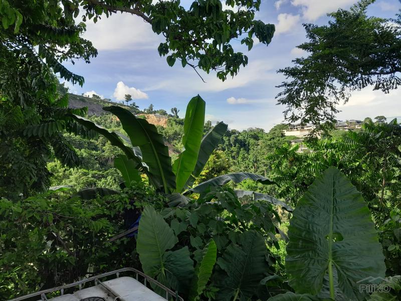 Residential Lot for sale in Cebu City - image 3