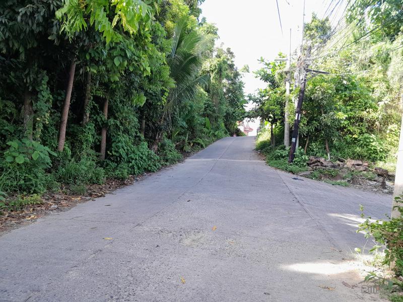 Residential Lot for sale in Cebu City in Philippines