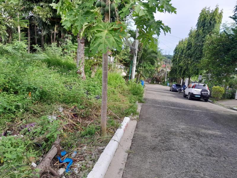 Residential Lot for sale in Cebu City - image 2