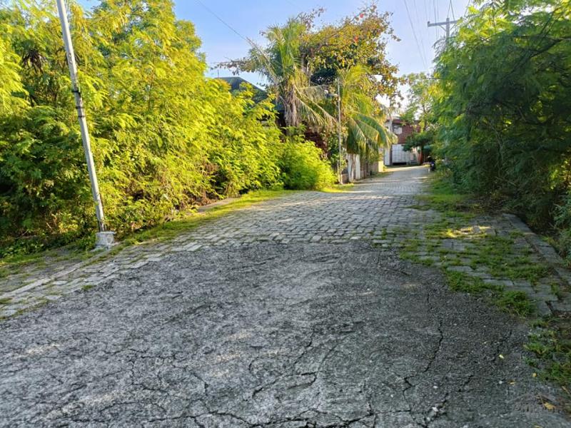Residential Lot for sale in Lapu Lapu in Cebu