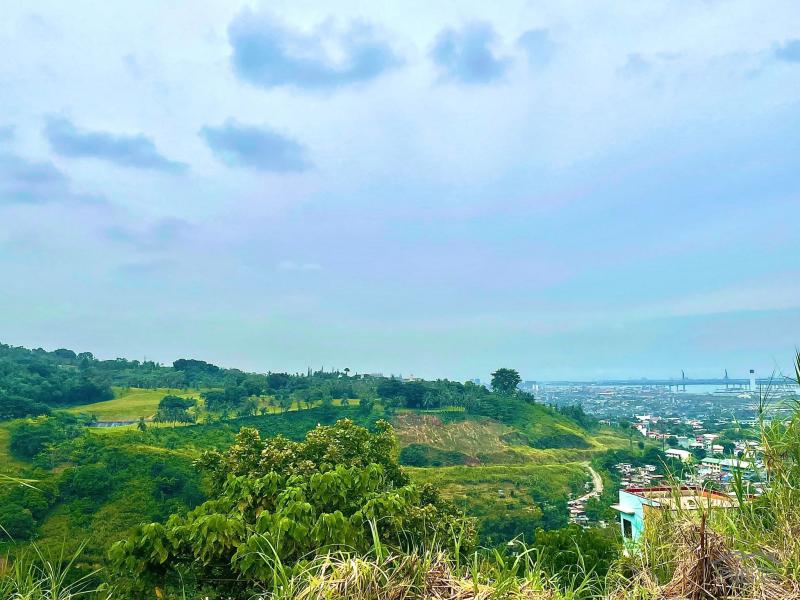 5 bedroom House and Lot for sale in Talisay in Philippines