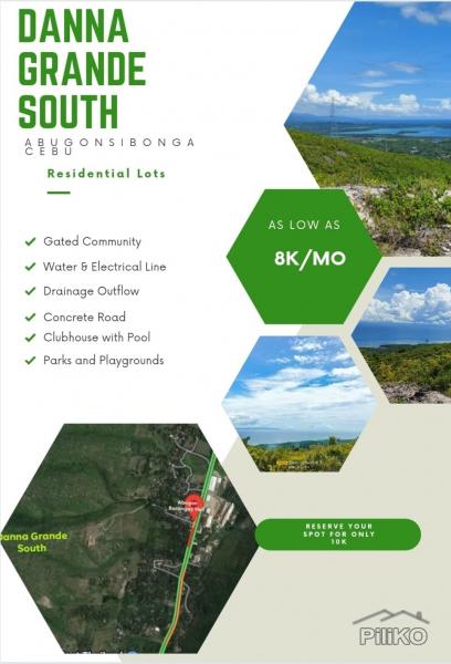 Residential Lot for sale in Sibonga - image 3