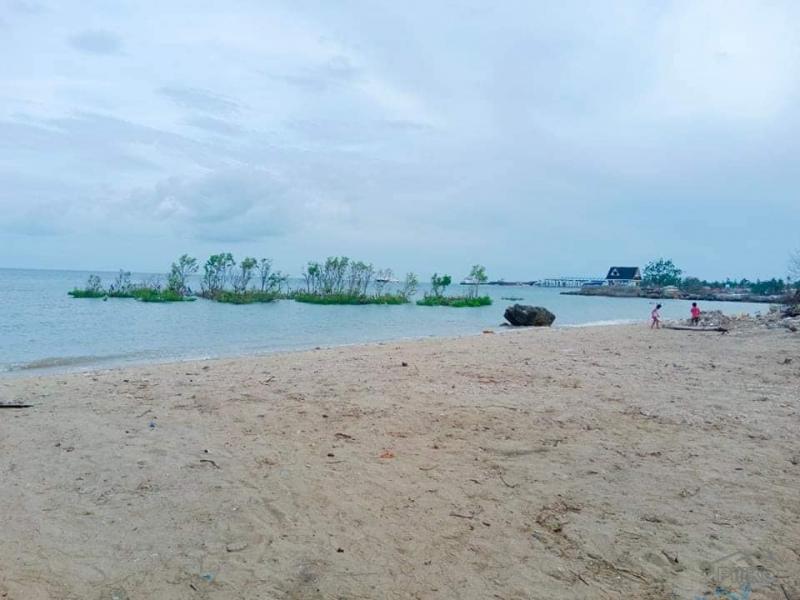 1 bedroom House and Lot for sale in Danao - image 6
