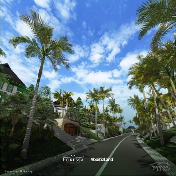 Picture of Residential Lot for sale in Balamban in Cebu