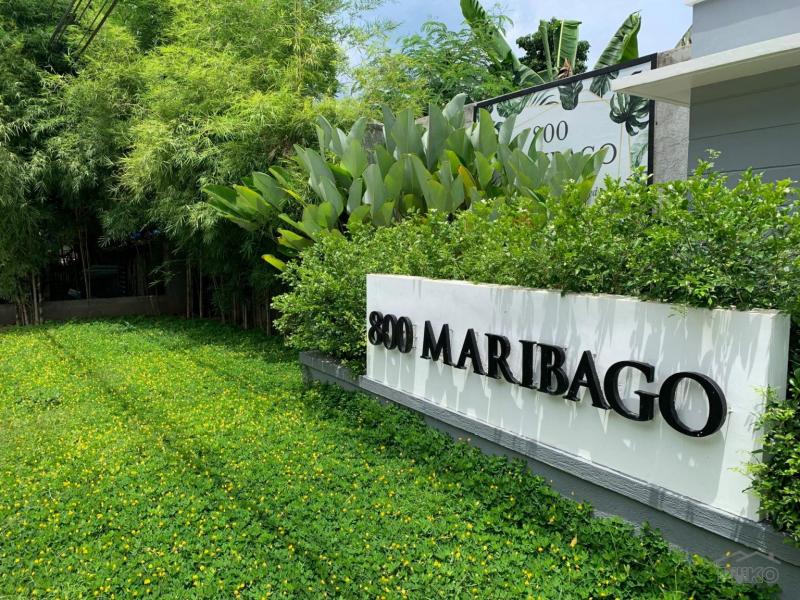 4 bedroom House and Lot for sale in Lapu Lapu - image 5