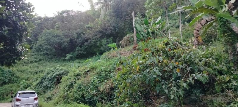 Agricultural Lot for sale in Consolacion