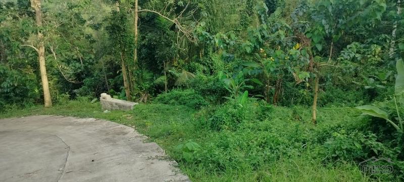 Picture of Agricultural Lot for sale in Cebu City