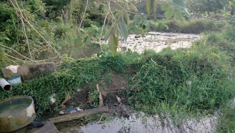 Agricultural Lot for sale in Sagbayan - image 2