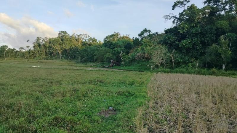 Agricultural Lot for sale in Sagbayan - image 5