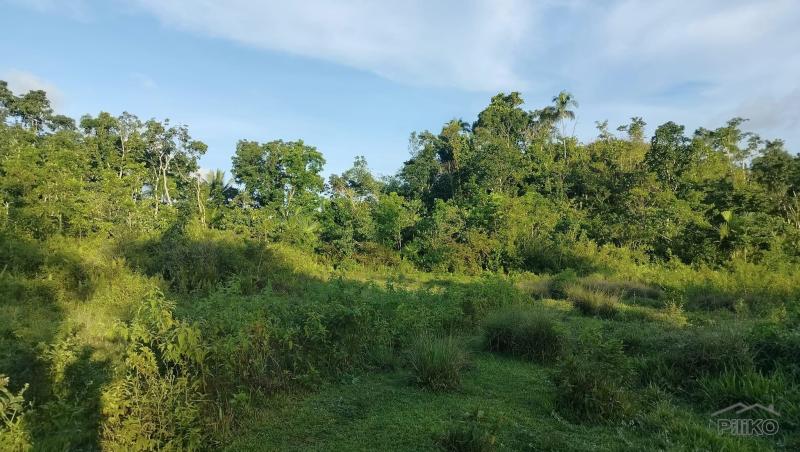 Picture of Agricultural Lot for sale in Sagbayan in Philippines