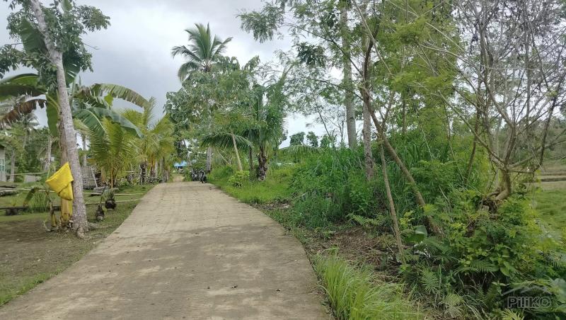 Residential Lot for sale in Sagbayan