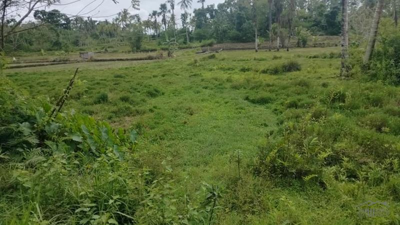 Residential Lot for sale in Sagbayan in Bohol