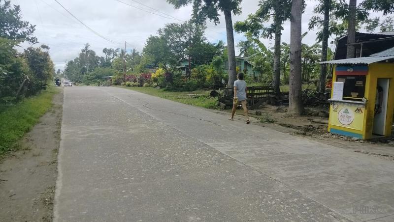 Residential Lot for sale in Sagbayan in Philippines
