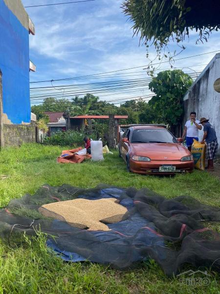 Residential Lot for sale in Tayabas - image 2