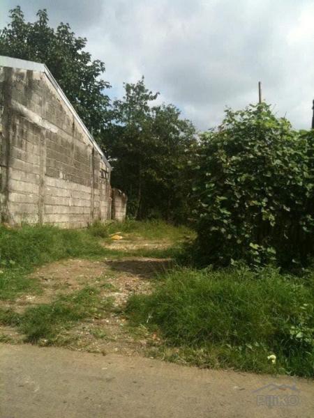 Residential Lot for sale in Tayabas in Quezon