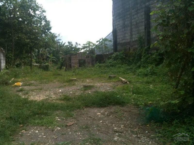 Residential Lot for sale in Tayabas - image 4