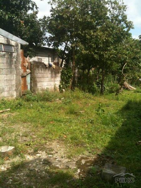 Picture of Residential Lot for sale in Tayabas in Quezon